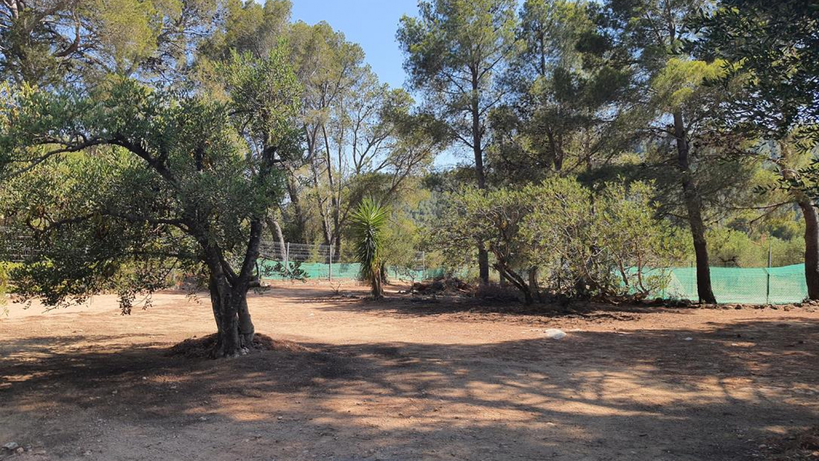 Tarragona 43300, ,Finca Rústica,Compra Venta,1085