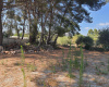 Tarragona 43300, ,Finca Rústica,Compra Venta,1085