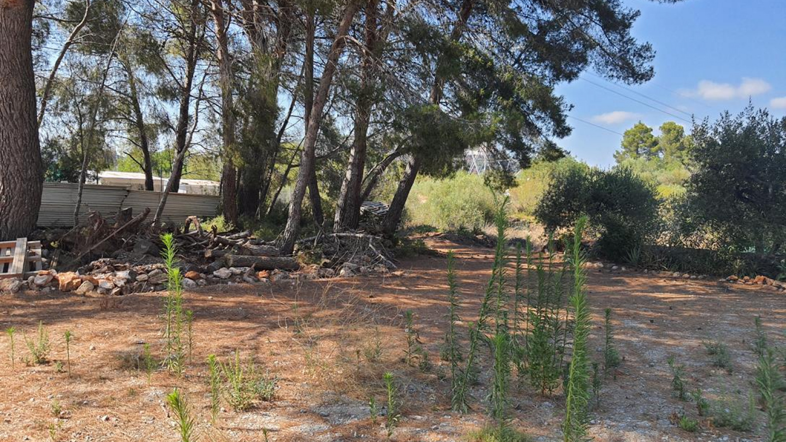 Tarragona 43300, ,Finca Rústica,Compra Venta,1085