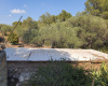 Tarragona 43300, ,Finca Rústica,Compra Venta,1085