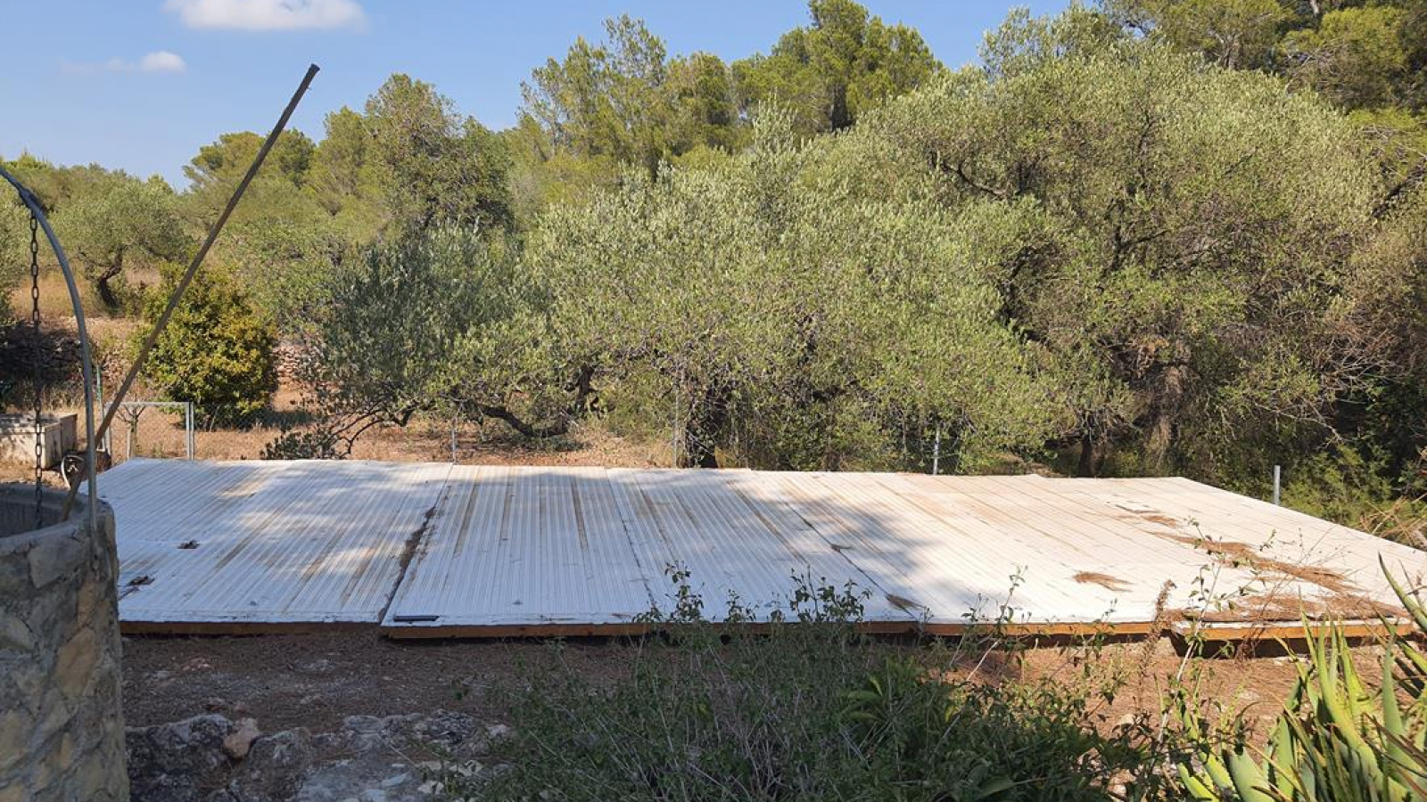 Tarragona 43300, ,Finca Rústica,Compra Venta,1085