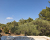 Tarragona 43300, ,Finca Rústica,Compra Venta,1085