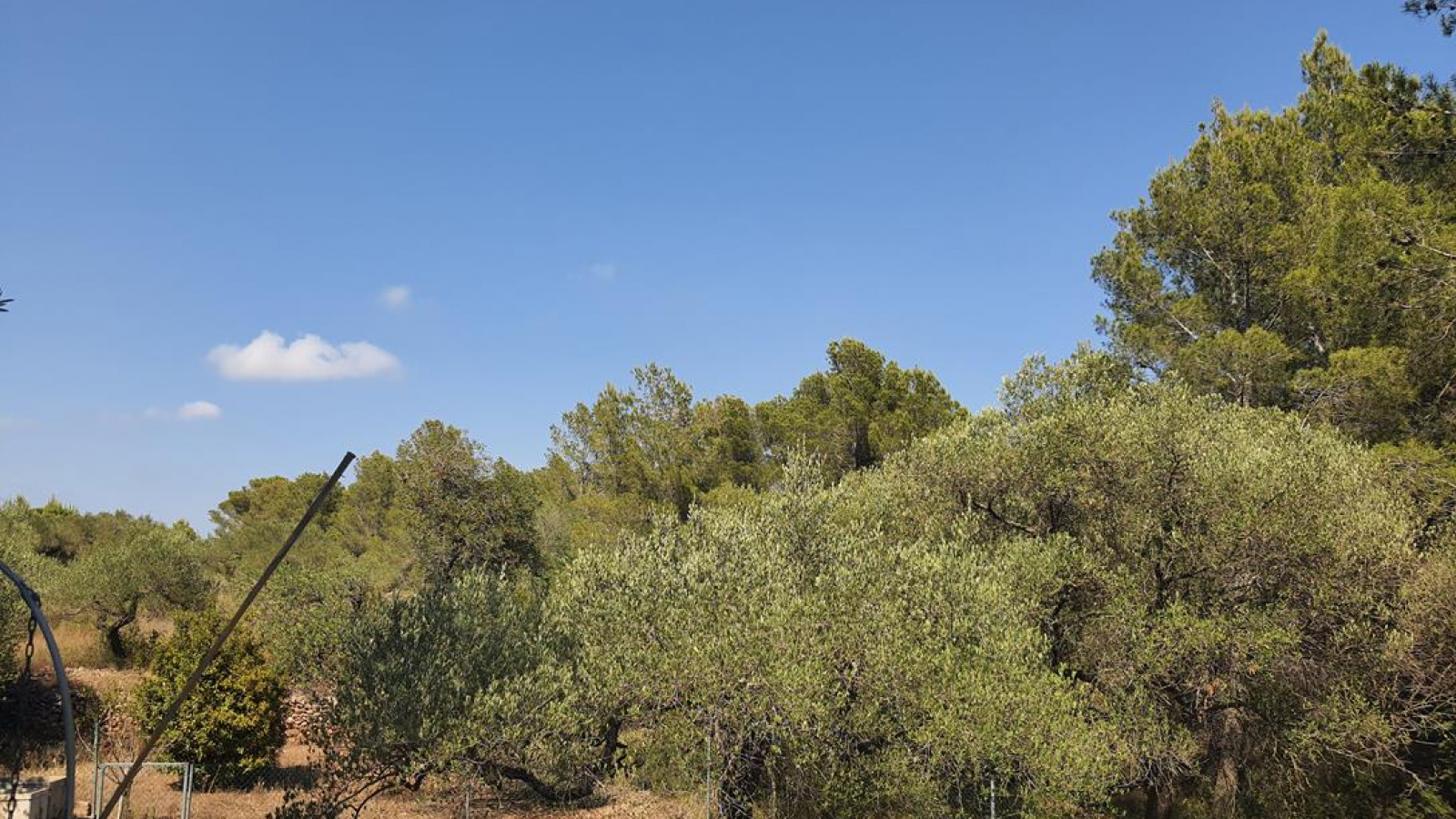 Tarragona 43300, ,Finca Rústica,Compra Venta,1085